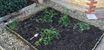New Patio in Abingdon, New Driveways Oxford New Driveways Reading New Driveways Swindon New Driveways Newbury New Driveways Peterborough New Driveways Cardiff New Driveways North London New Driveways South London New Driveways Chiswick New Driveway High Wycombe