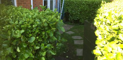 New Sandstone Paved Garden, Testimonial, New Driveway Company, Bournemouth