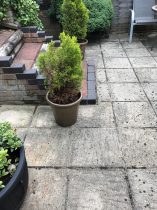 New Patio and Step, High Wycombe, New Driveway Company