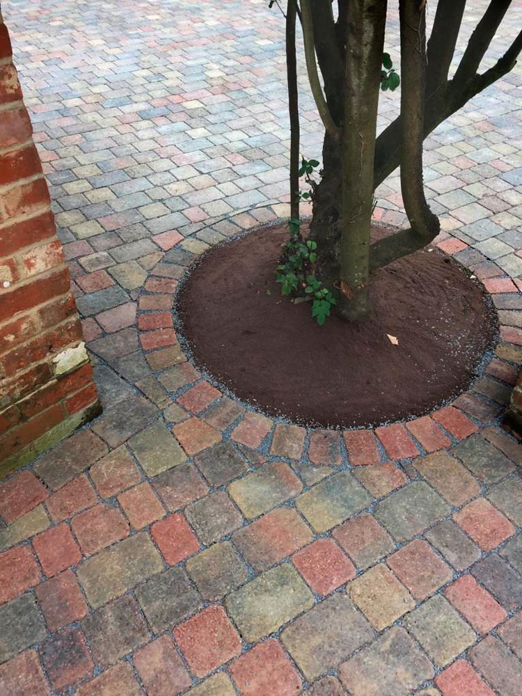 Block-Paved-Drive-Bagshot-Hungerford-After-4 Block Paved Drive Bagshot Hungerford