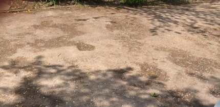 Block Paved Drive Bagshot Hungerford