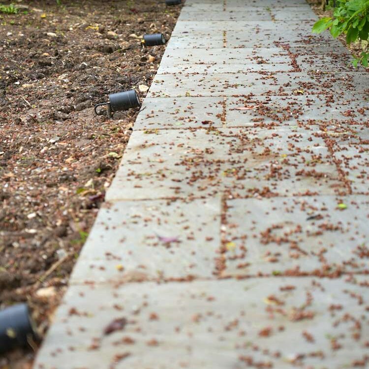 Image 15, Pathway with spotlights. Garden Landscaping & Terracing, Buckinghamshire. New Driveway Company