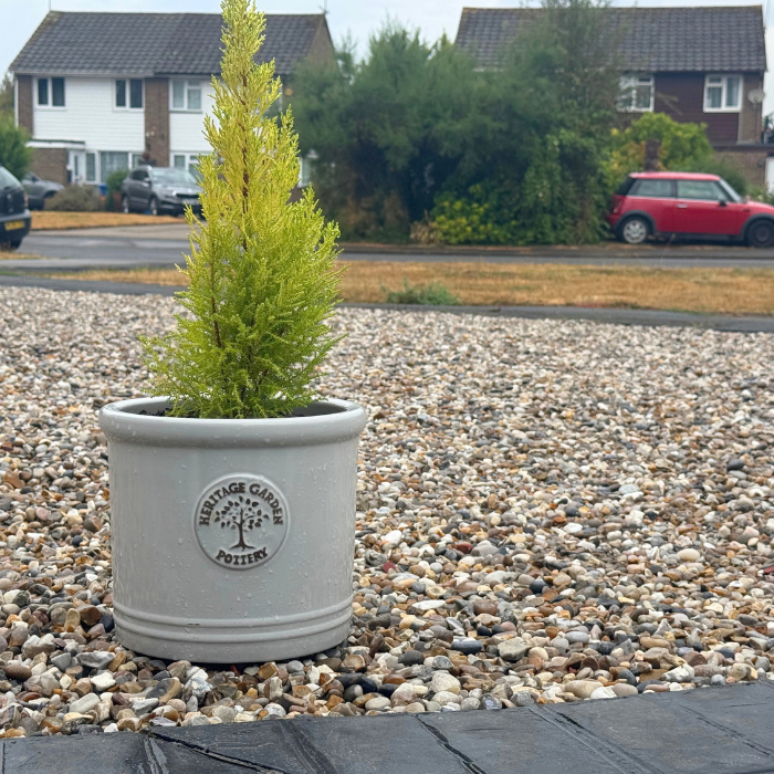 Close up of plants on new gravel driveway