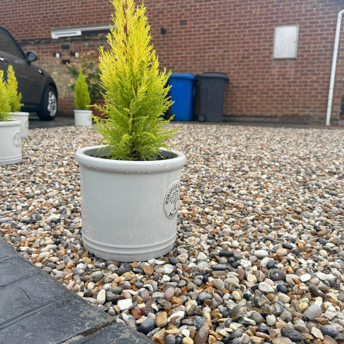 Plant pots on gravel driveway