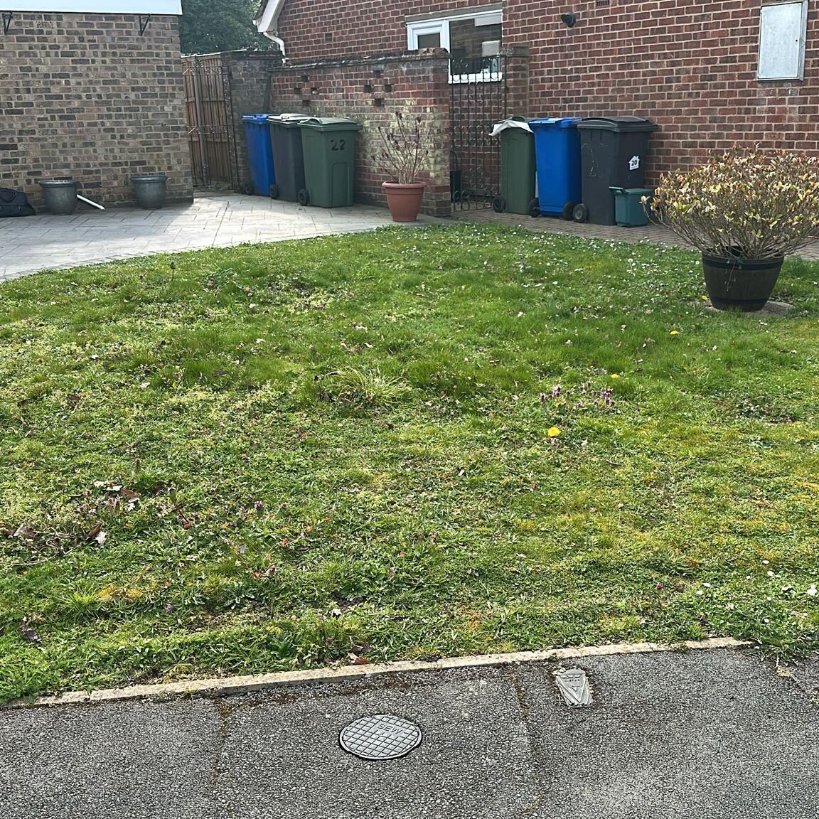 Close up before image of overgrown grass area of drive